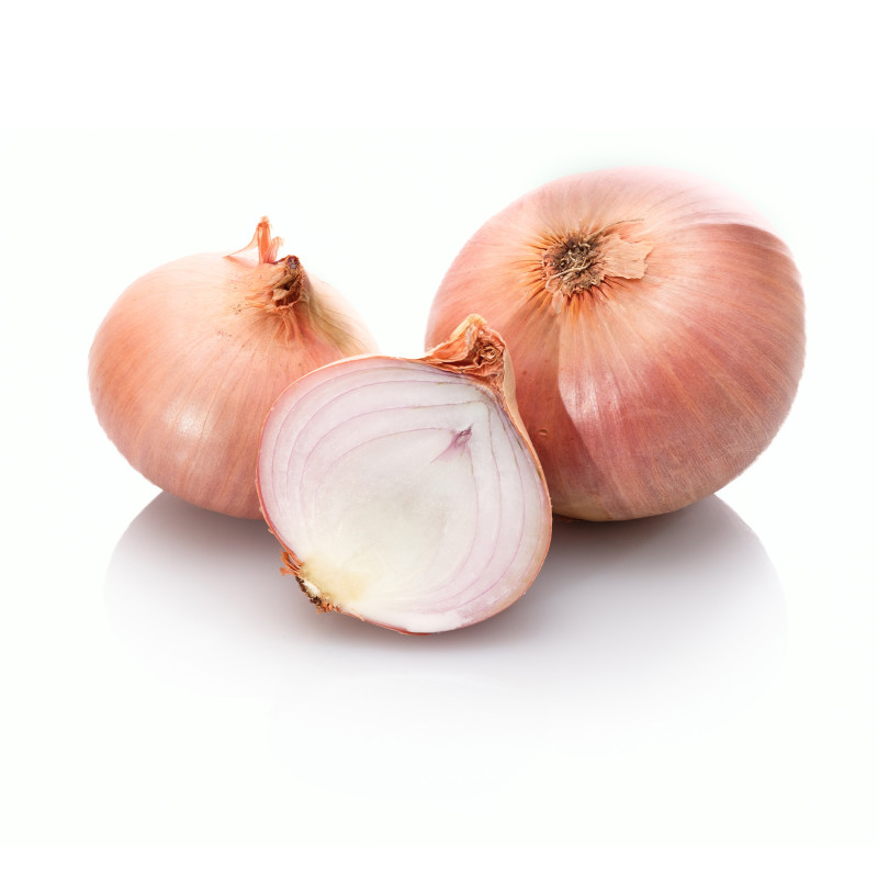 OIGNON ROSCOFF AOC 10X1KG